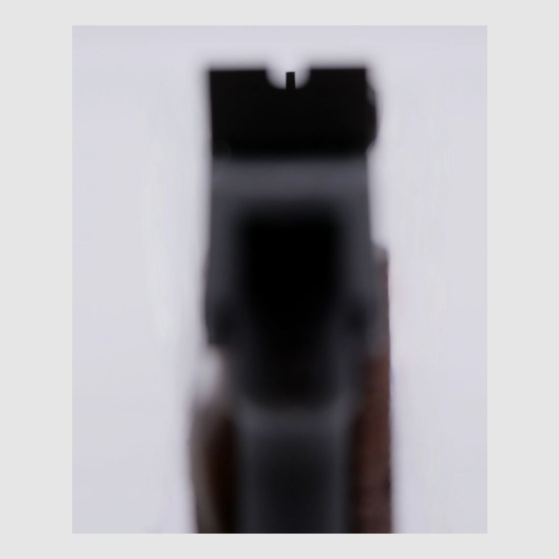 High Standard Supermatic Citation .22 l.r. 5.5" barrel length wooden grips .22lr
