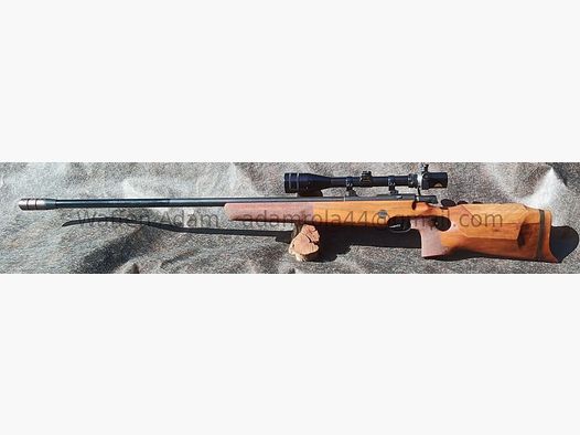 Carl Walther Ulm Jubiläums -Matchwaffe 100 Jahre Walther