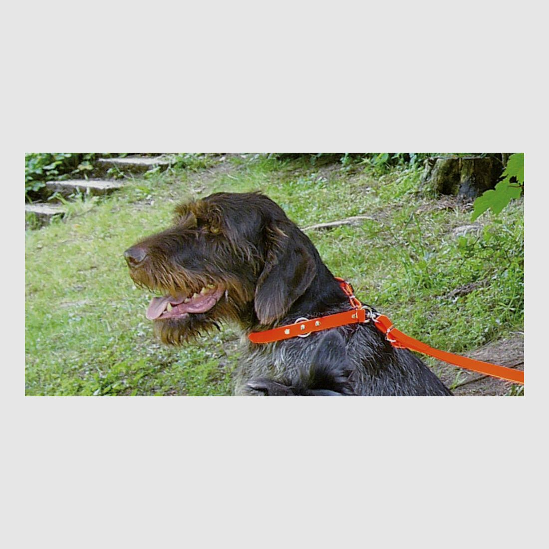 AKAH BioThane® halsband signaalrood