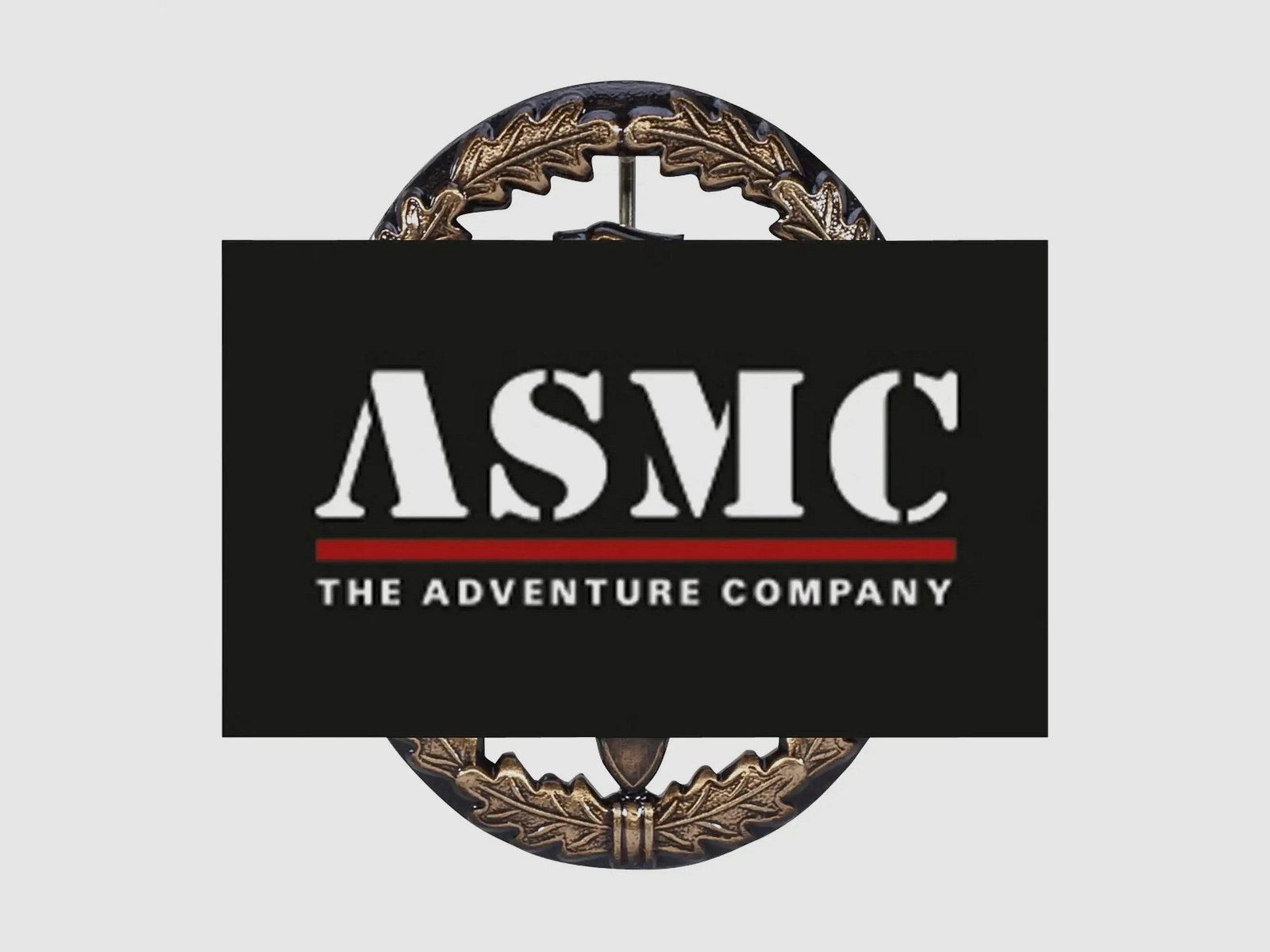 Fritzsch Fritzsch Leistungsabzeichen BW Metall