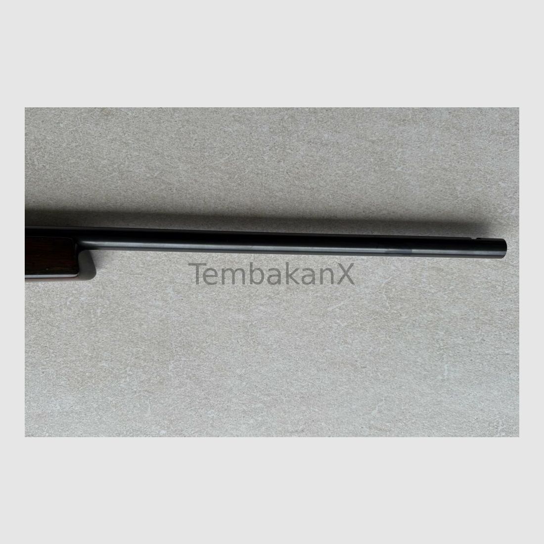 Anschütz Mod. 1516 .22WinMag