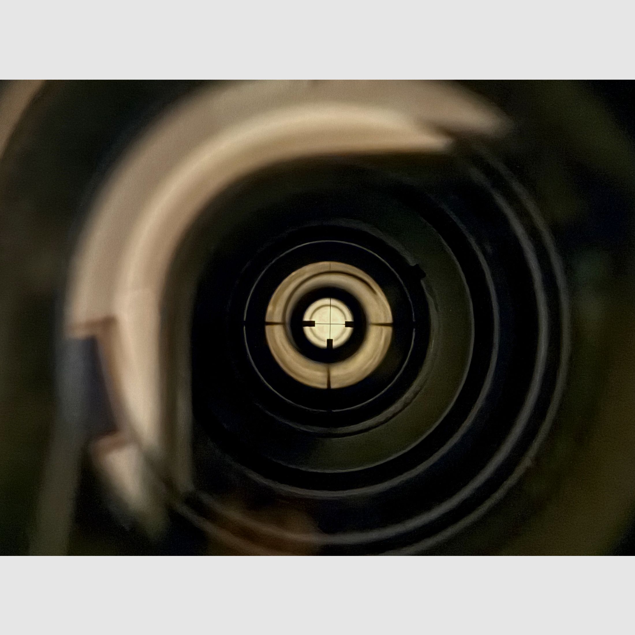 Ripetitore RWS Modello 89 Calibro 7x64 inclusa ZFR Zeiss * Ottime condizioni *