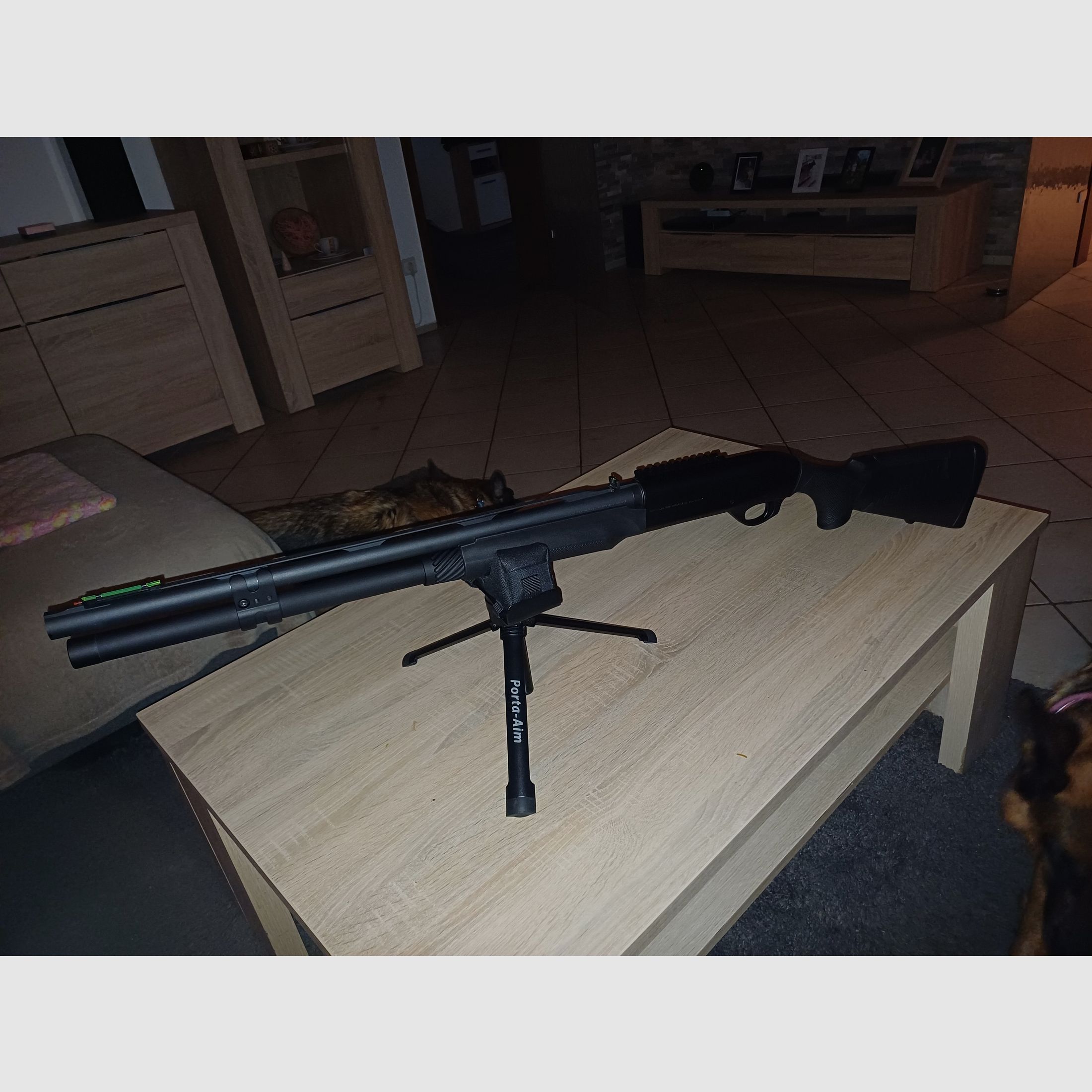 Benelli M2 Comfortech, Bild 2 von 4