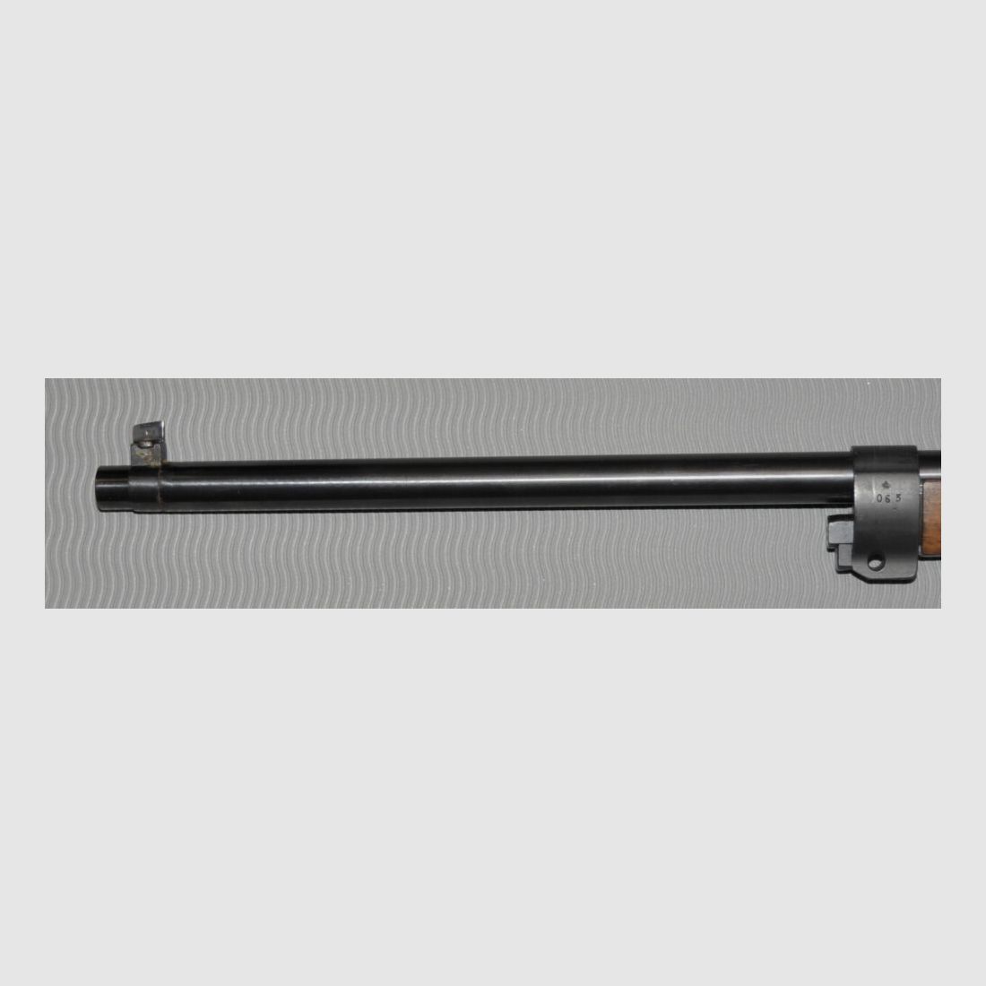 Carl Gustafs M 96