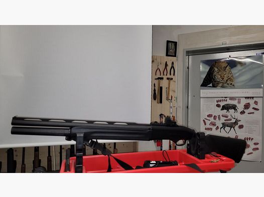 Beretta 1301 Competition