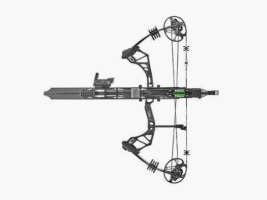Whipshot compound bow with magazine