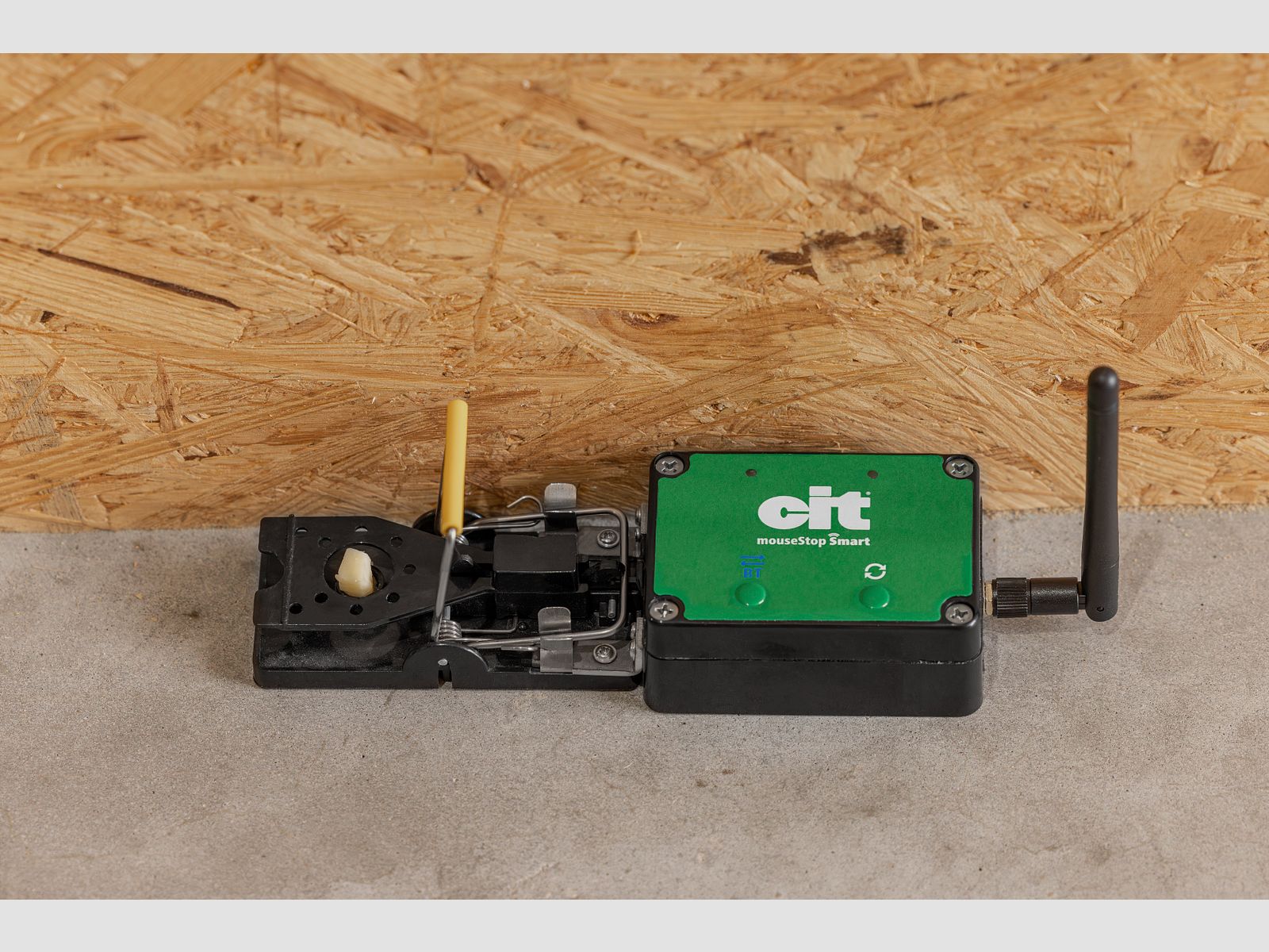 WLAN Mausfalle smart