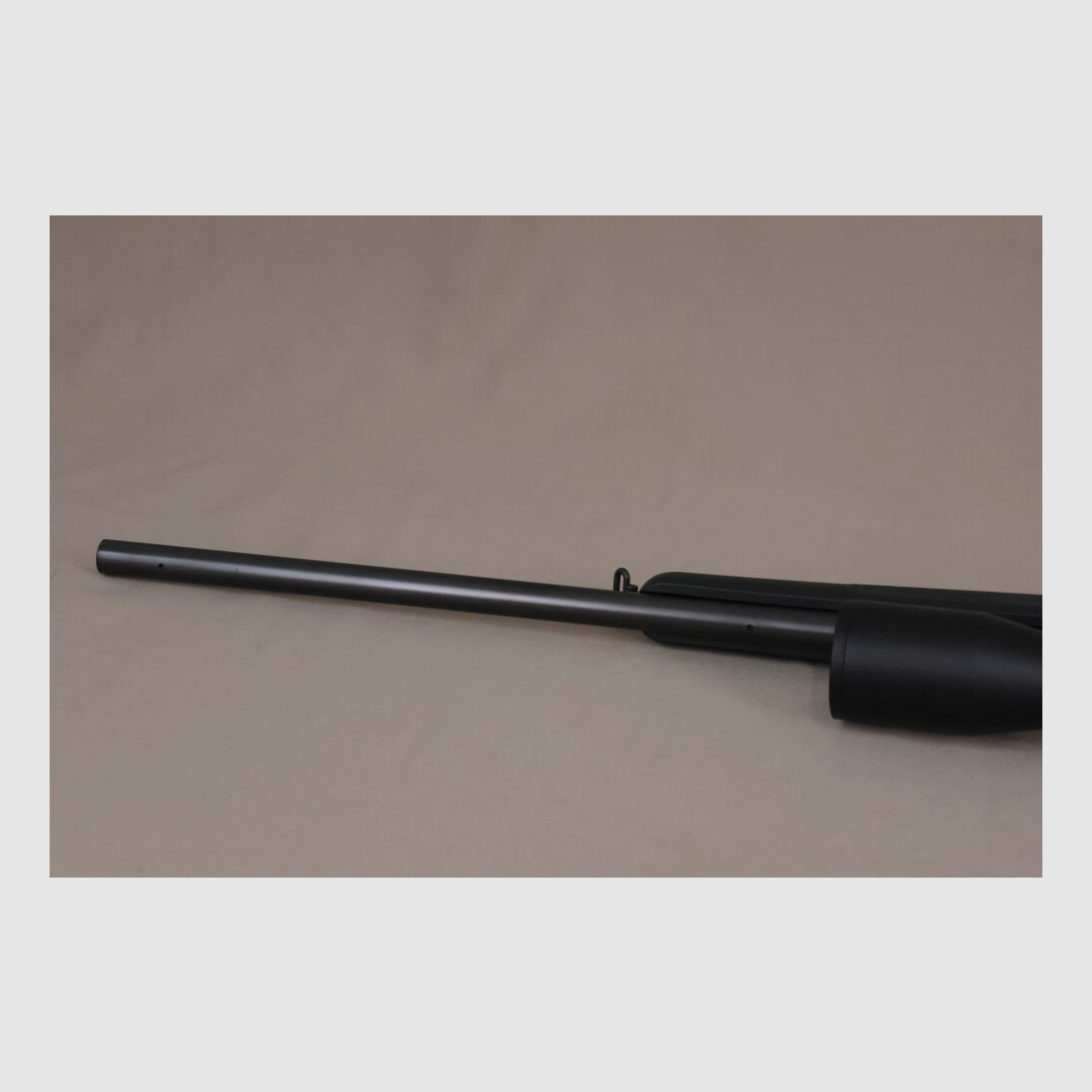 Blaser R93 Professional / Nachsuchenschaft