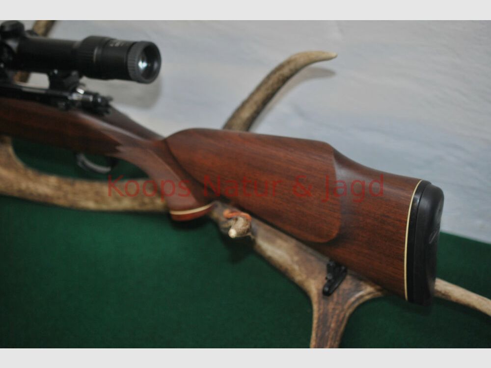 Tikka M 55