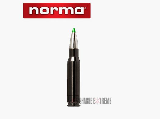 20 Cartridges NORMA Ctg cal 308 Win 150gr Ecostrike Silencer