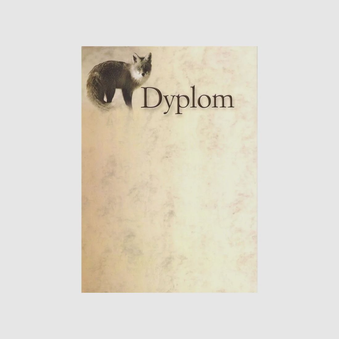 DYPLOM - Renard