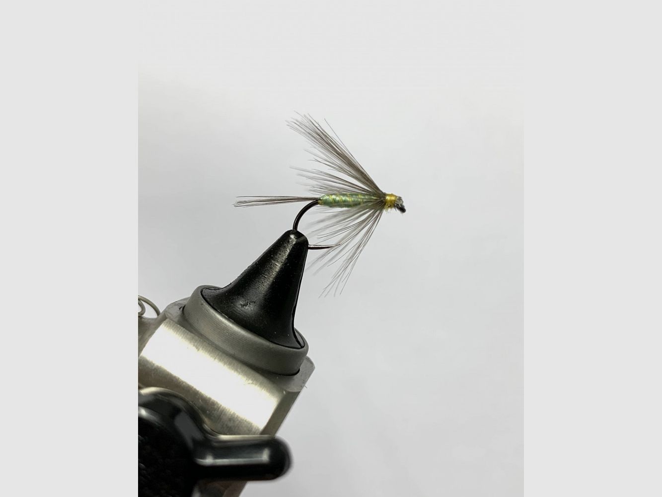 LEÓN Trockene Fliegen, Bild 19 von 22