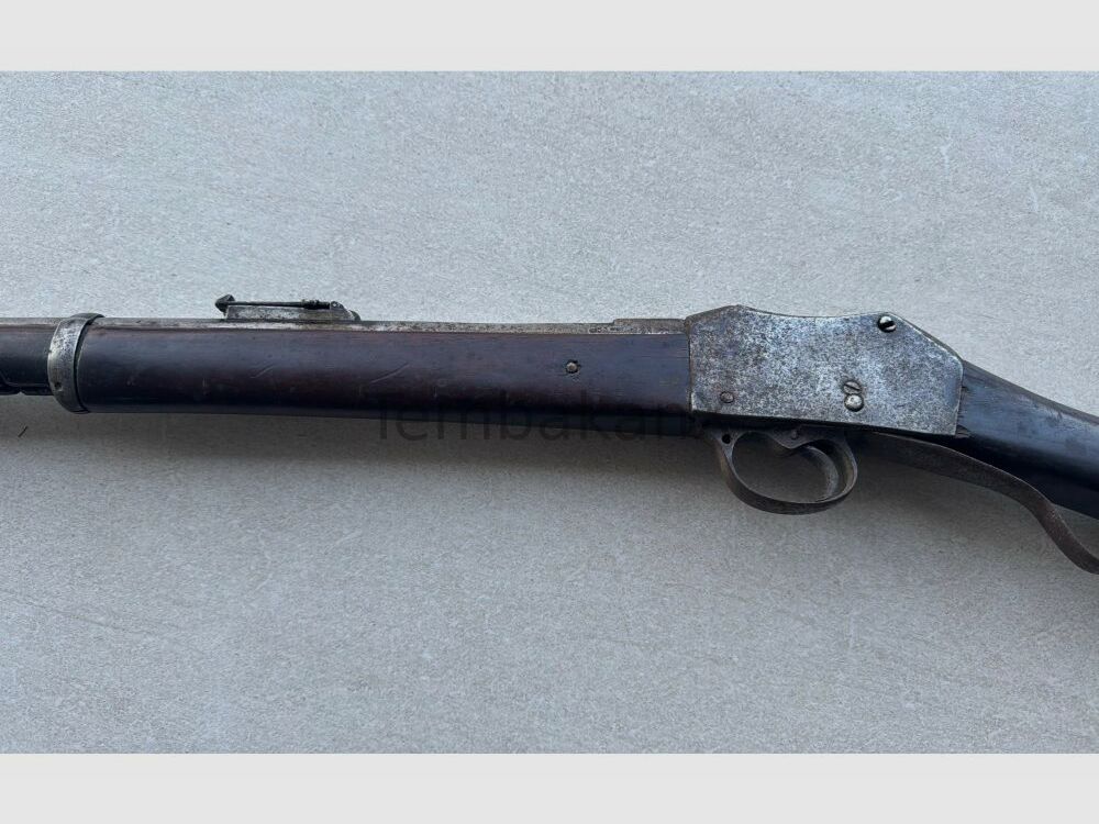 Enfield Bj. 1875 (vermutlich) .445SuperMag