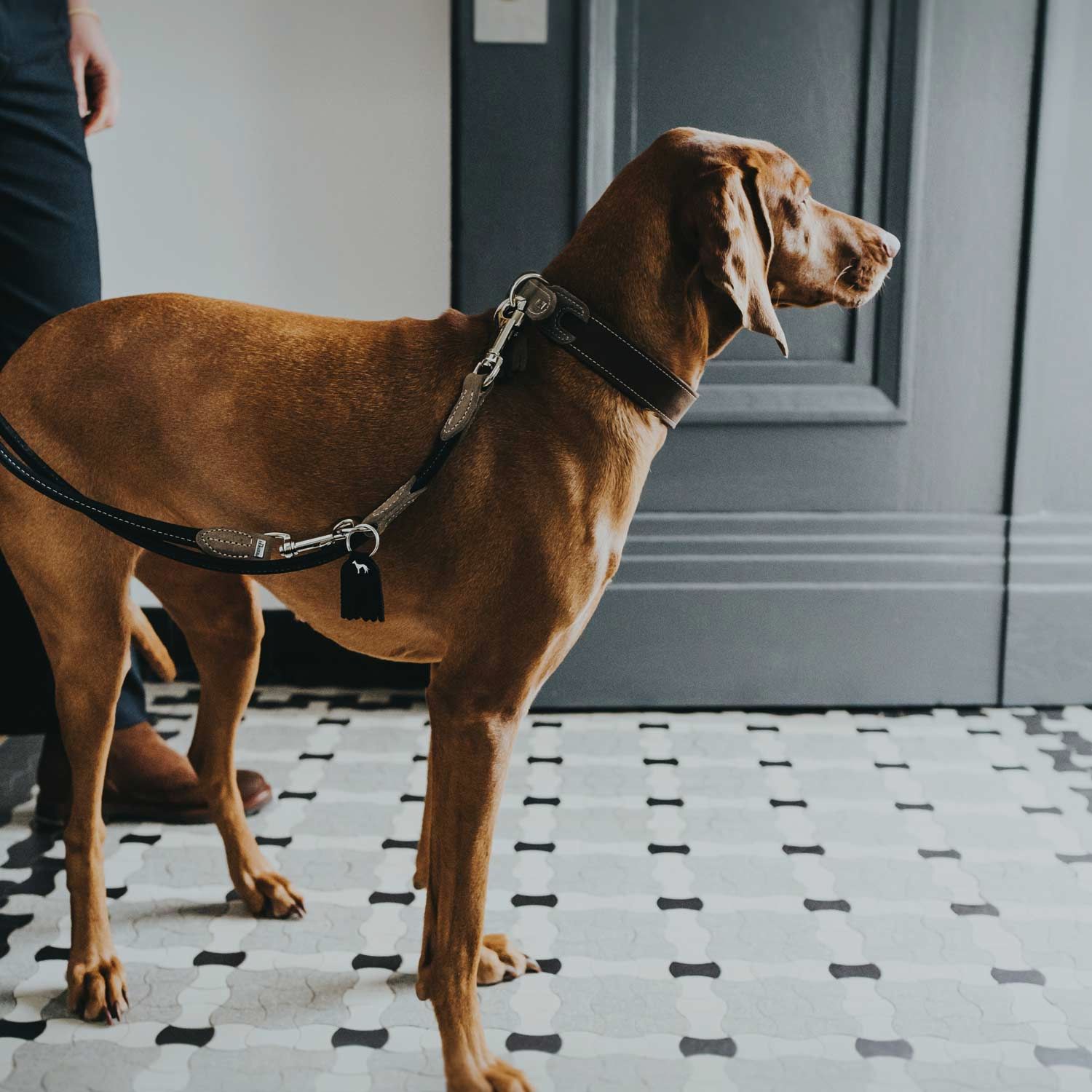 Hunter correa ajustable Round & Soft Hunting