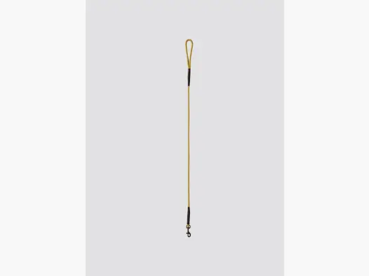Dubarry Charlie, nylon hondenriem, gold