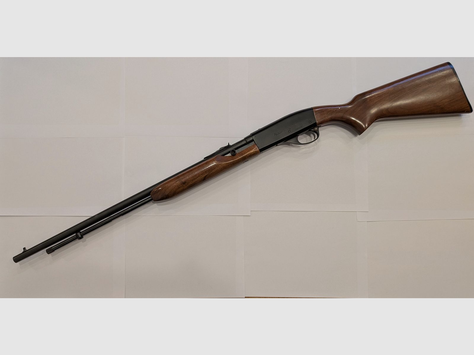 Remington Speedmaster 552 en .22lr.