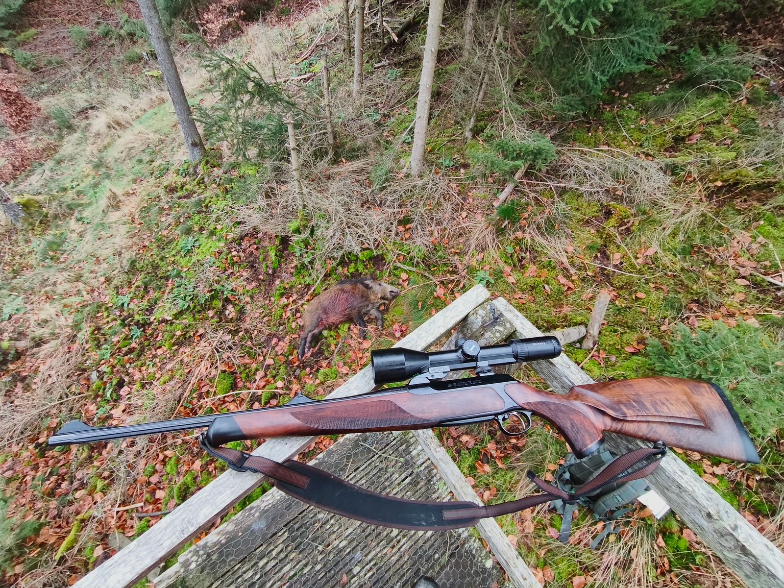 Sauer 202 Highland 