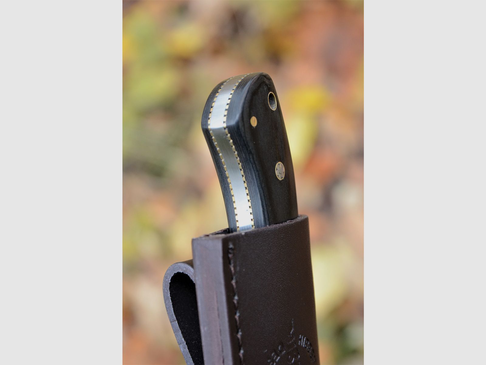 Hibben SIDEWINDER – Mehrzweckmesser