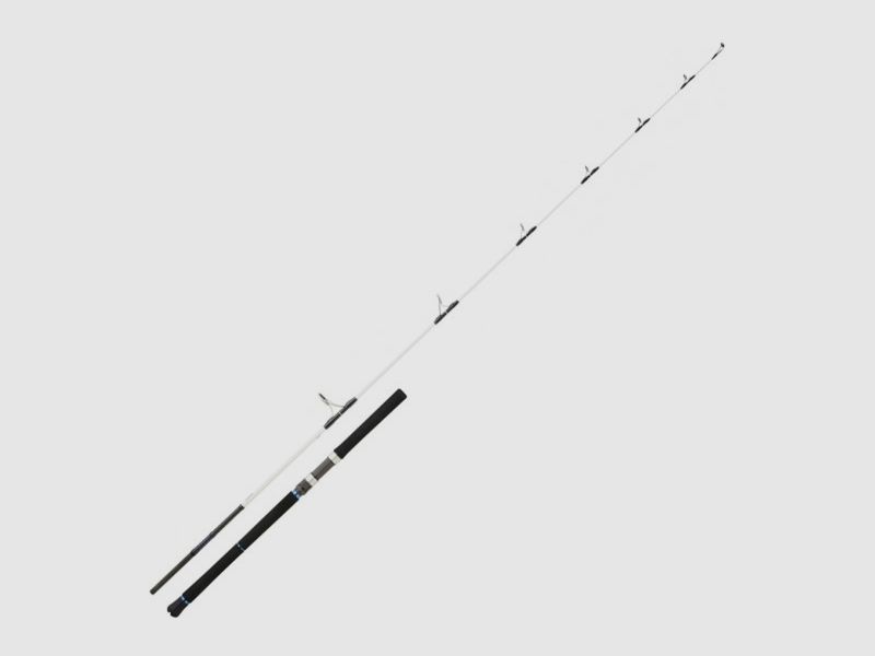 DAIWA SALTIST 2,44M, afbeelding 1 van 2