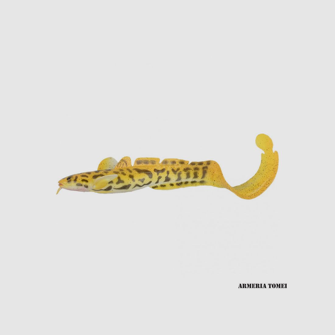 SAVAGE GEAR – 3D BURBOT 250 25cm 75g #1 02-Golden Albino, image 2 of 2