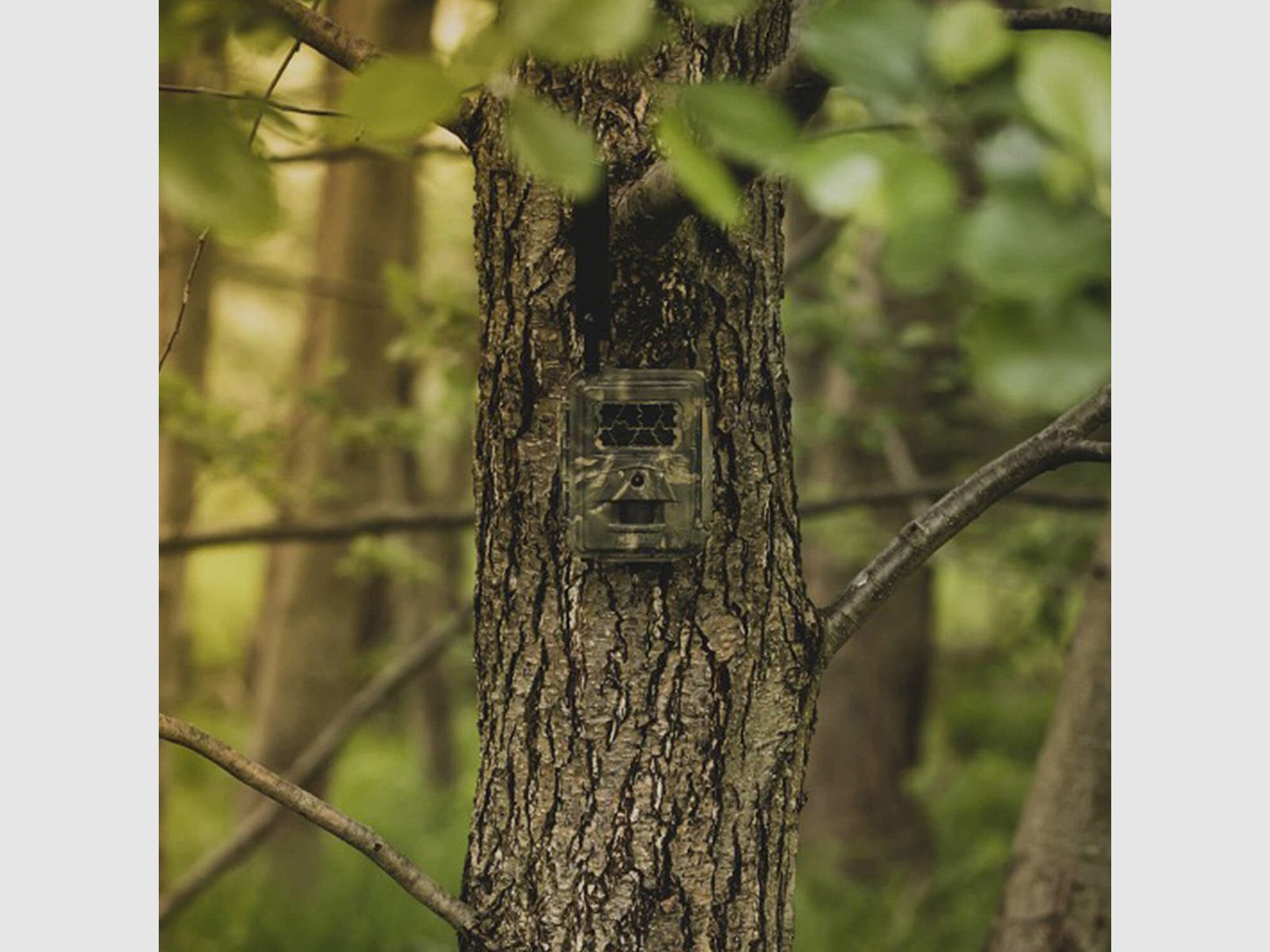 Seissiger Wildkamera Special-Cam LTE