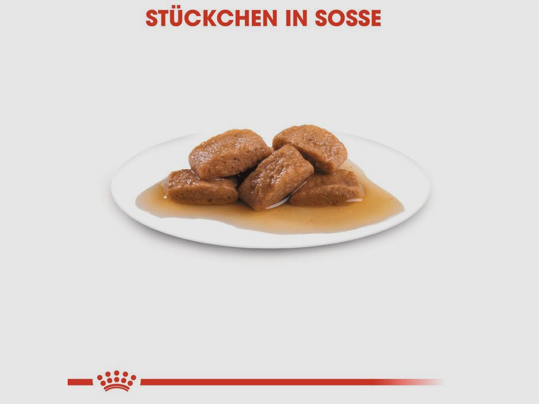 ROYAL CANIN Große Hunde Nassfutter Maxi Adult 10x140 g