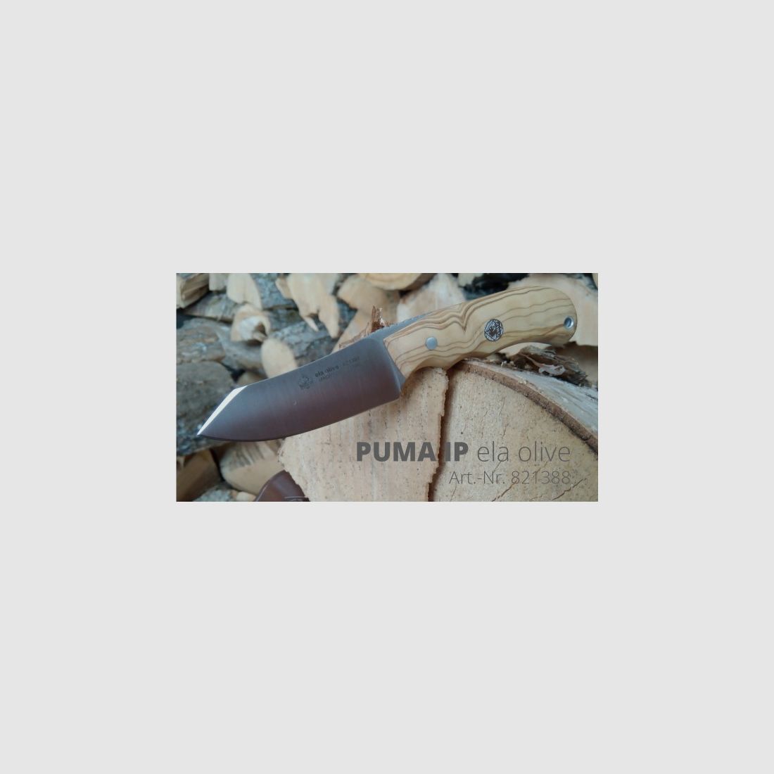 PUMA IP ela olive