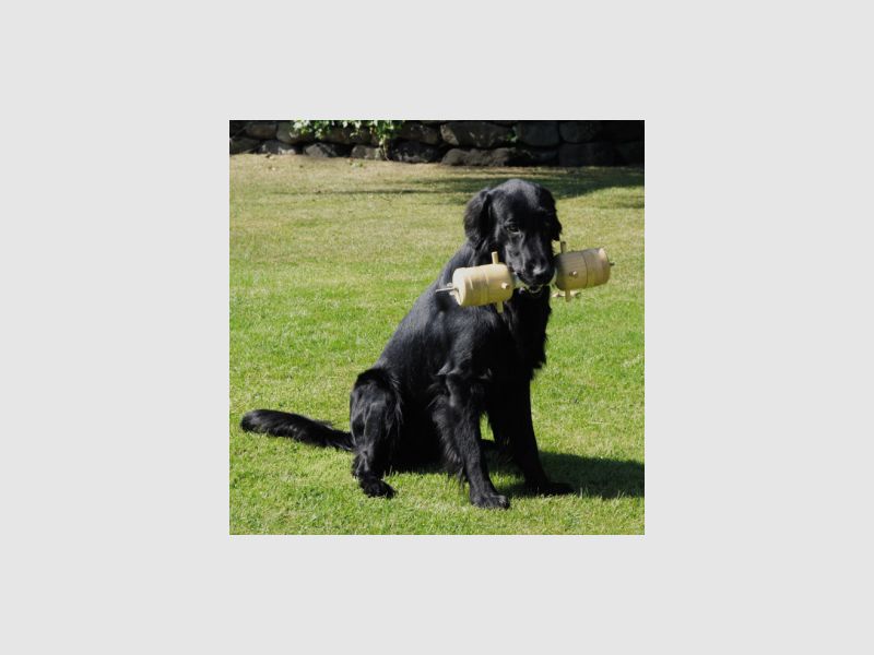 il Lago Passion Apportierbock Jagd-Gebrauchshund |