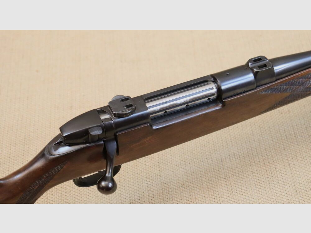 Sauer Weatherby Europa 8x68S incluye Zeiss Diavari 2,5-10x50 T, Abs. 4 punto iluminado