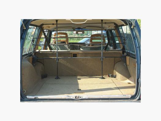 Dog guard for car