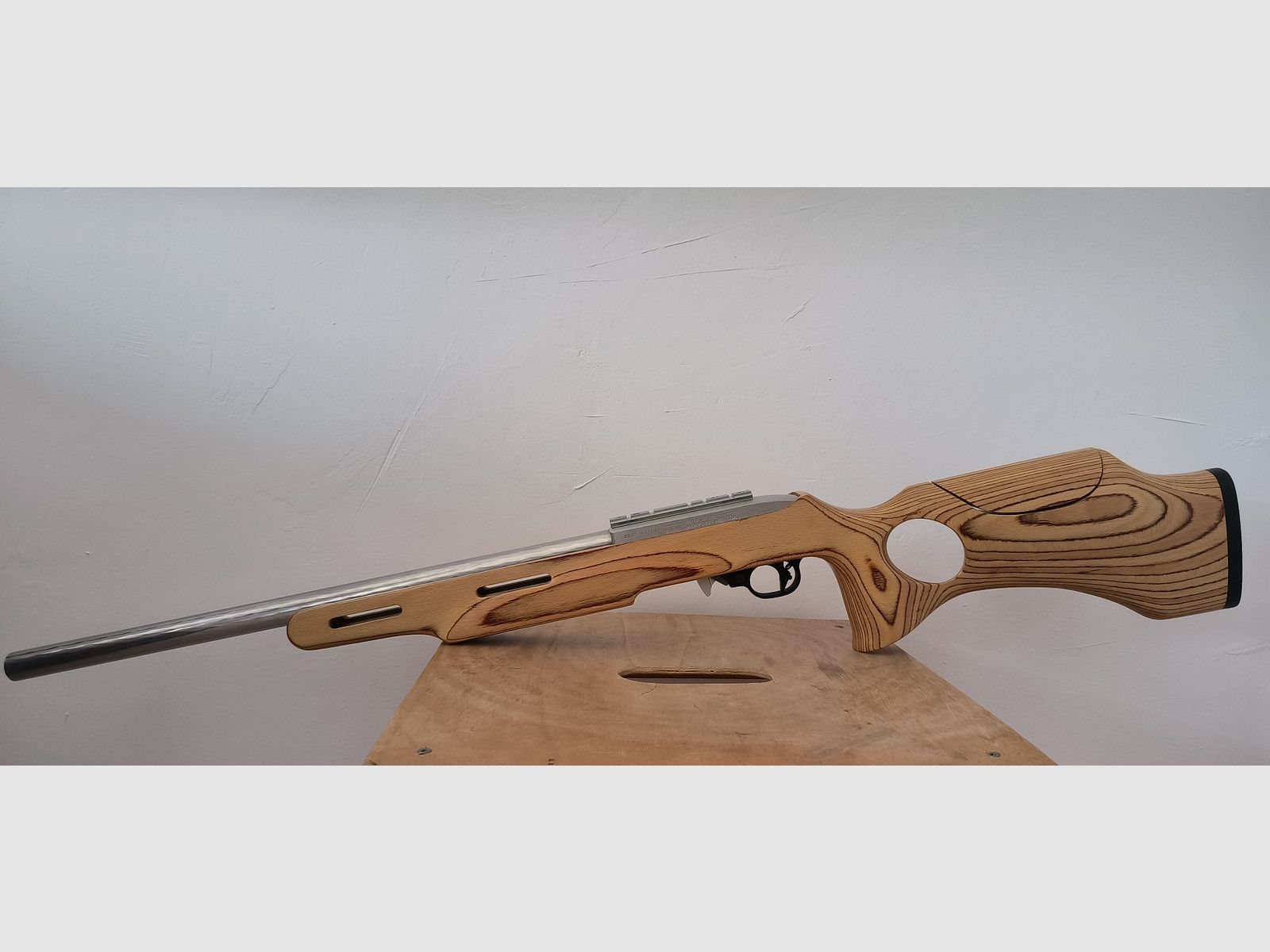 Ruger 10/22