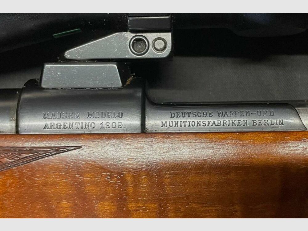 Modelo Argentino 98