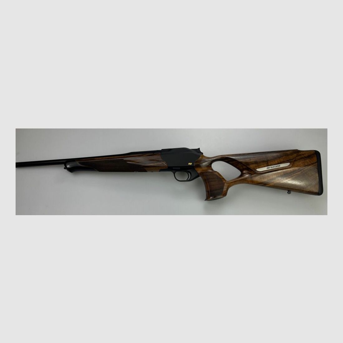 Blaser R8 Success