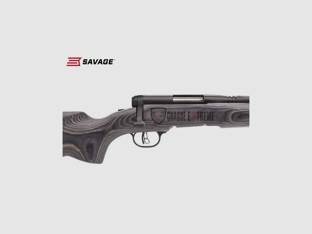Carabine SAVAGE B.MAG Beavertail 22" cal 17 Wsm, image 2 sur 2