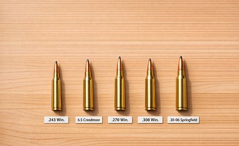 Top 5 Kaliber für Jagdanfänger