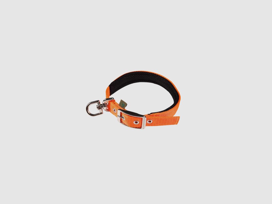 2WOLFS FOREST dog collar with swivel