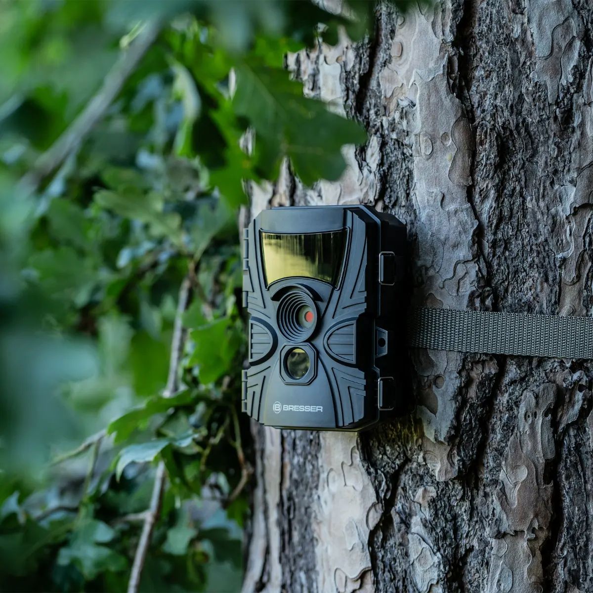 Bresser 60°-Wild-Beobachtungskamera