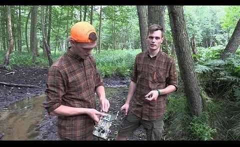Wildkameras richtig aufhängen - Hunter Brothers