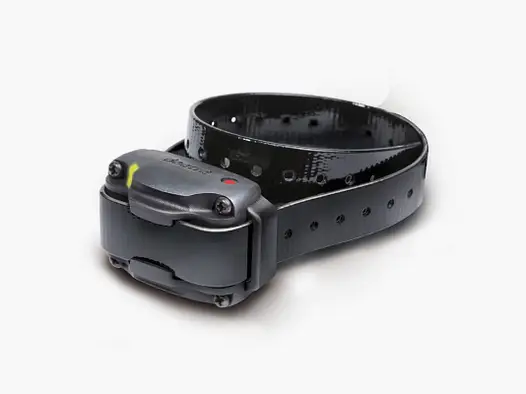 Collier Supplémentaire Dogtra pour 640/642C