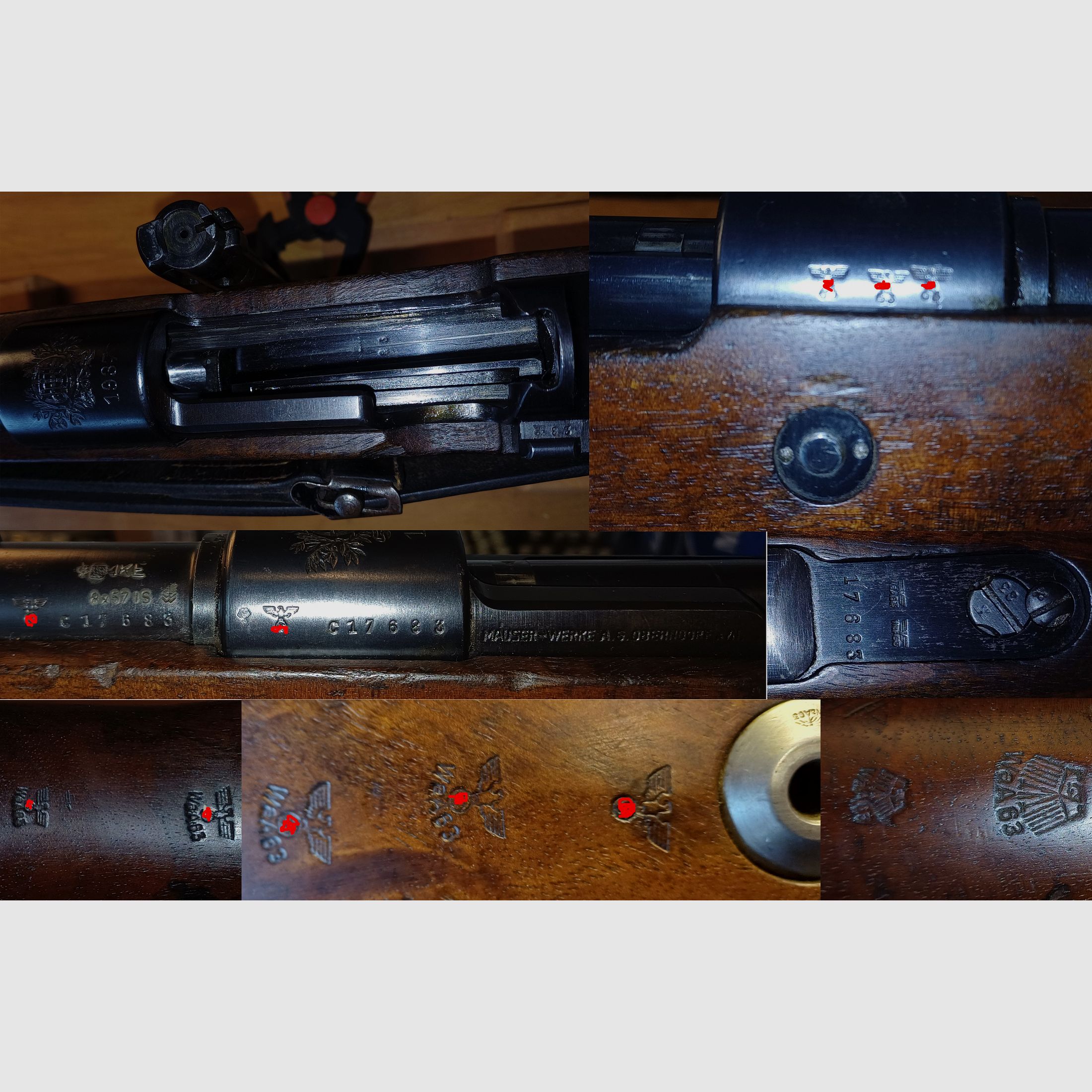 K98k Nummerngleich, Mauser Oberndorf 1937 Portugal (Neubeschuss vorhanden) Preis ist VB