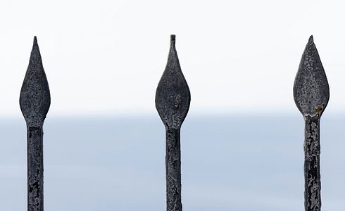 Die Saufeder: Eine Historie und ihre vielfältige Verwendung