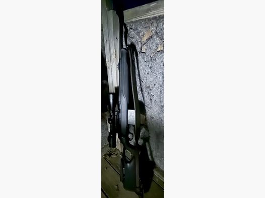 Sauer 303 in 30.06