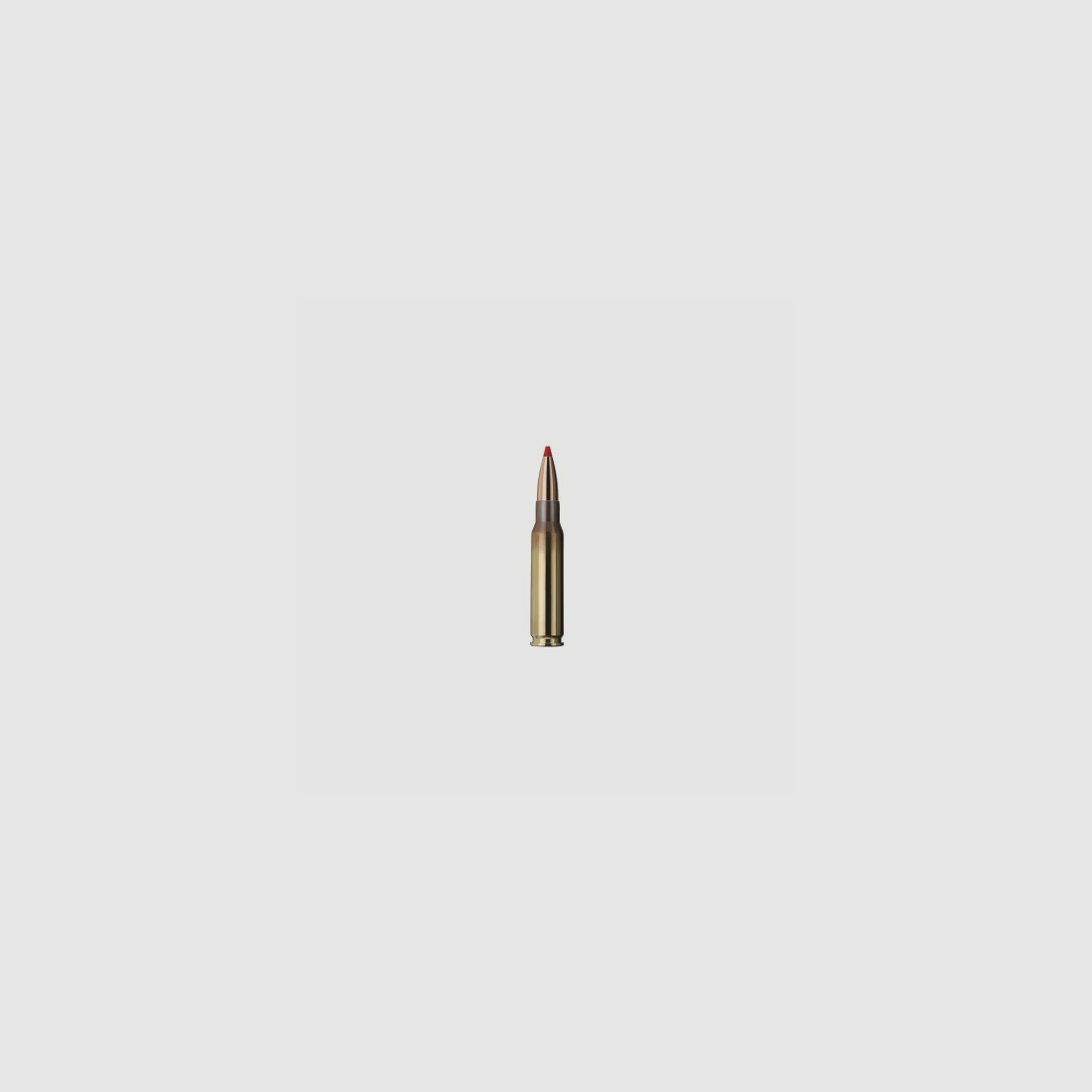 GECO .308 Win. EXPRESS 10.7g/165gr