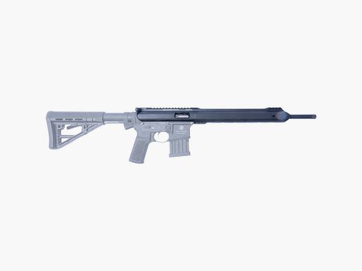 Schmeisser Wechselsystem AR-15 Sport, .22lr.