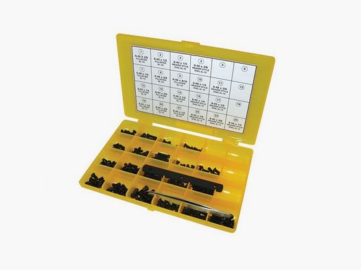 Kit de vis Torx 6-L Master Gunsmith 202 pièces