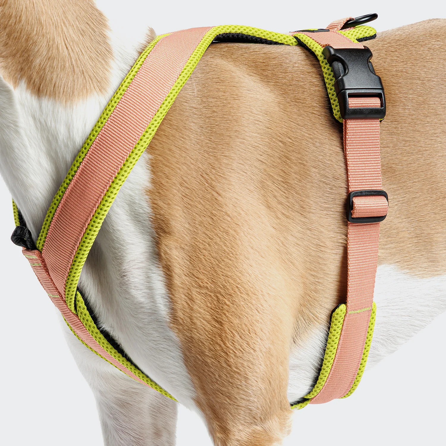 Harnais Y-1 ACTIF Air-Mesh, image 9 sur 12