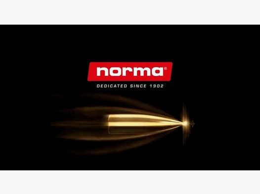 NORMA Kal. 6.. Büchsen 6,5x55SE Oryx TM 20 Stk 10,1g/156gr
