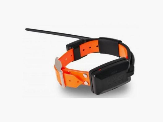 Zusätzlicher Kragen Dogtrace für DOG GPS X20 DOGTRACE