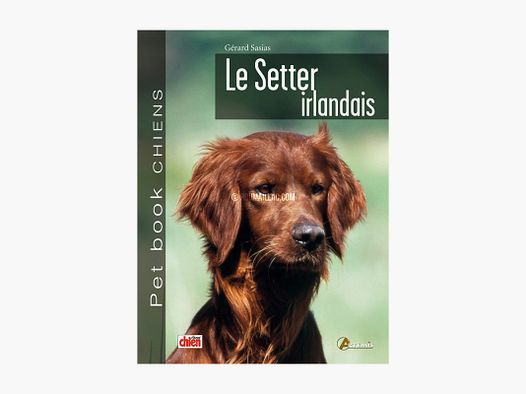 PET BOOK LE SETTER IRLANDAIS