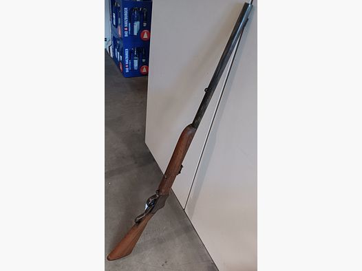 Carabine petit calibre B.S.A.